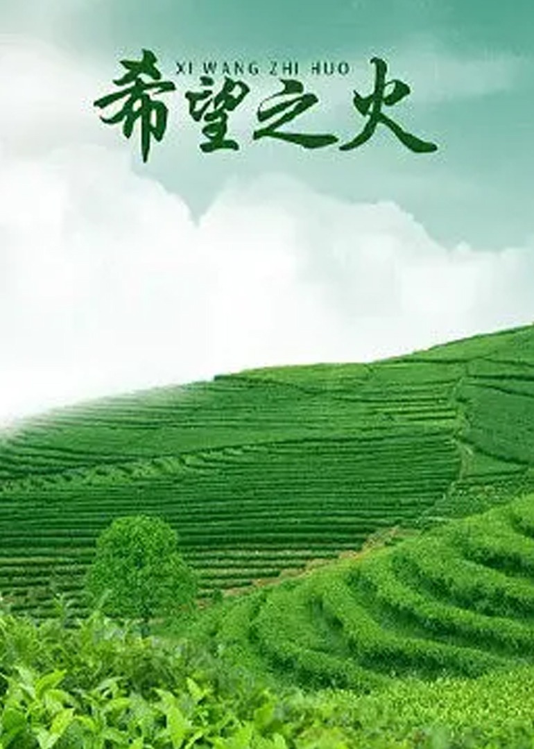 精品亚洲av无码一区二区