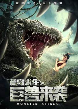 久久久久精品国产久久综合