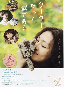 日韩欧美亚洲综合