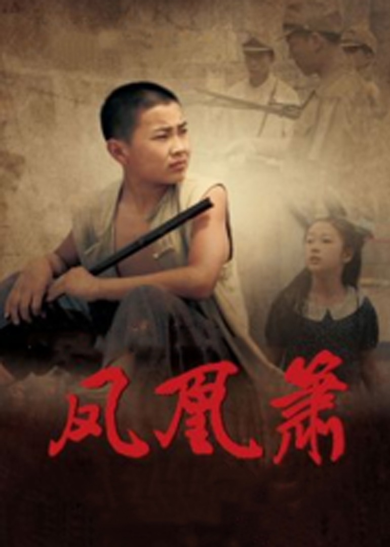 无毒不卡在线观看无需下载