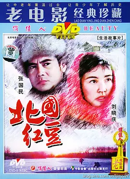 看南北裸体视频