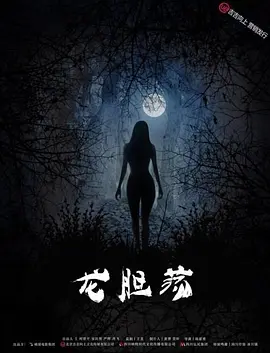 av导航福利