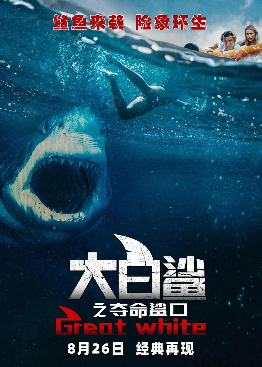 在线观看的资源视频 - 720在线观看完整版