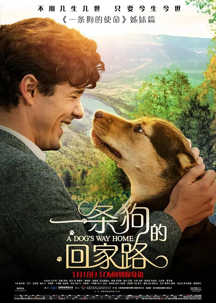 亚洲国产成人久久综合区