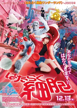 久久久久久久精品免费久精品蜜桃 - HD高清在线