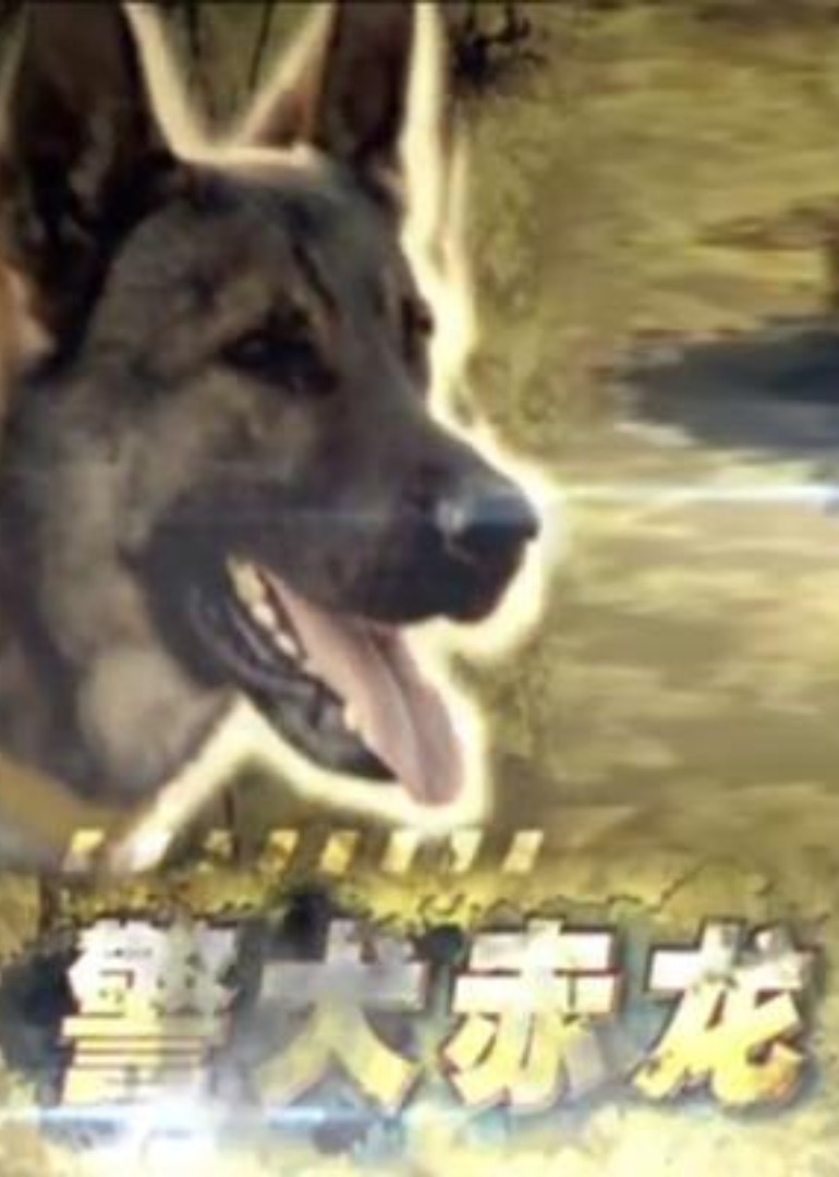 久久久这里只有精品免费