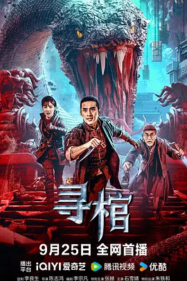 99久久久精品
