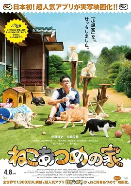 欧美成a高清在线观看www
