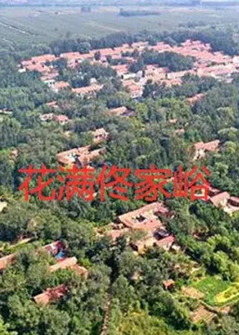 久久久久久亚洲精品