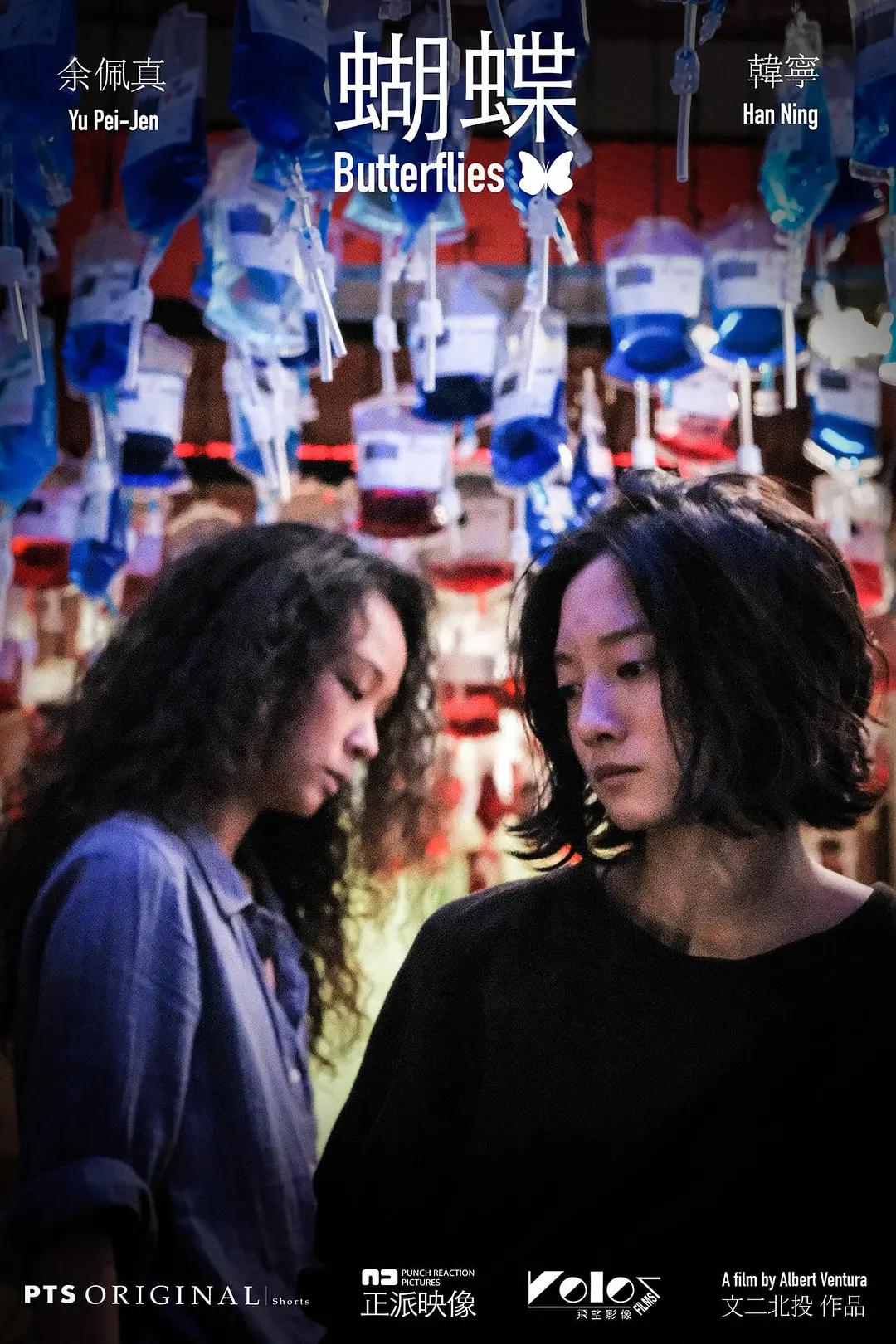 《漂亮的女邻居5》-最新版完整无删减版