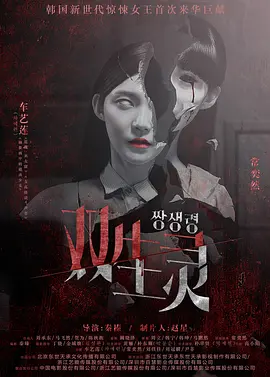 久久国产经典视频