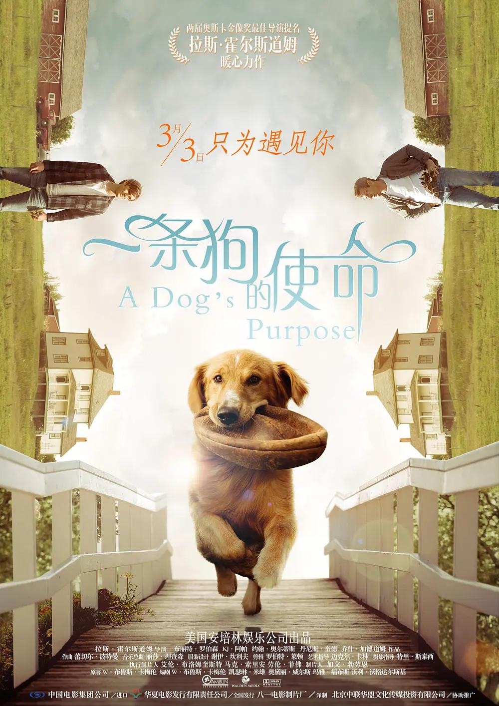 久久久精品国产自在看一区