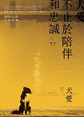 太深太粗太大太猛太爽了视频 - 剧情片高清免费观看