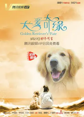 中文字幕一区二区三区电影