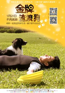 午夜福利韩国视频在线看
